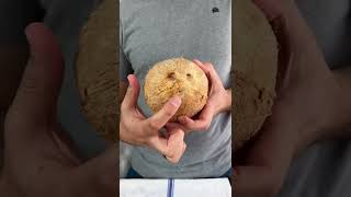 Moldy Coconuts