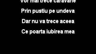 Aurel Tamas - Caravana (Karaoke) chords