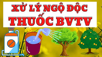 Ngộ độc thuốc BVTV | Cách bước xử lý ngộ độc thuốc | Phân biệt ngộ độc thuốc BVTV và nấm bệnh