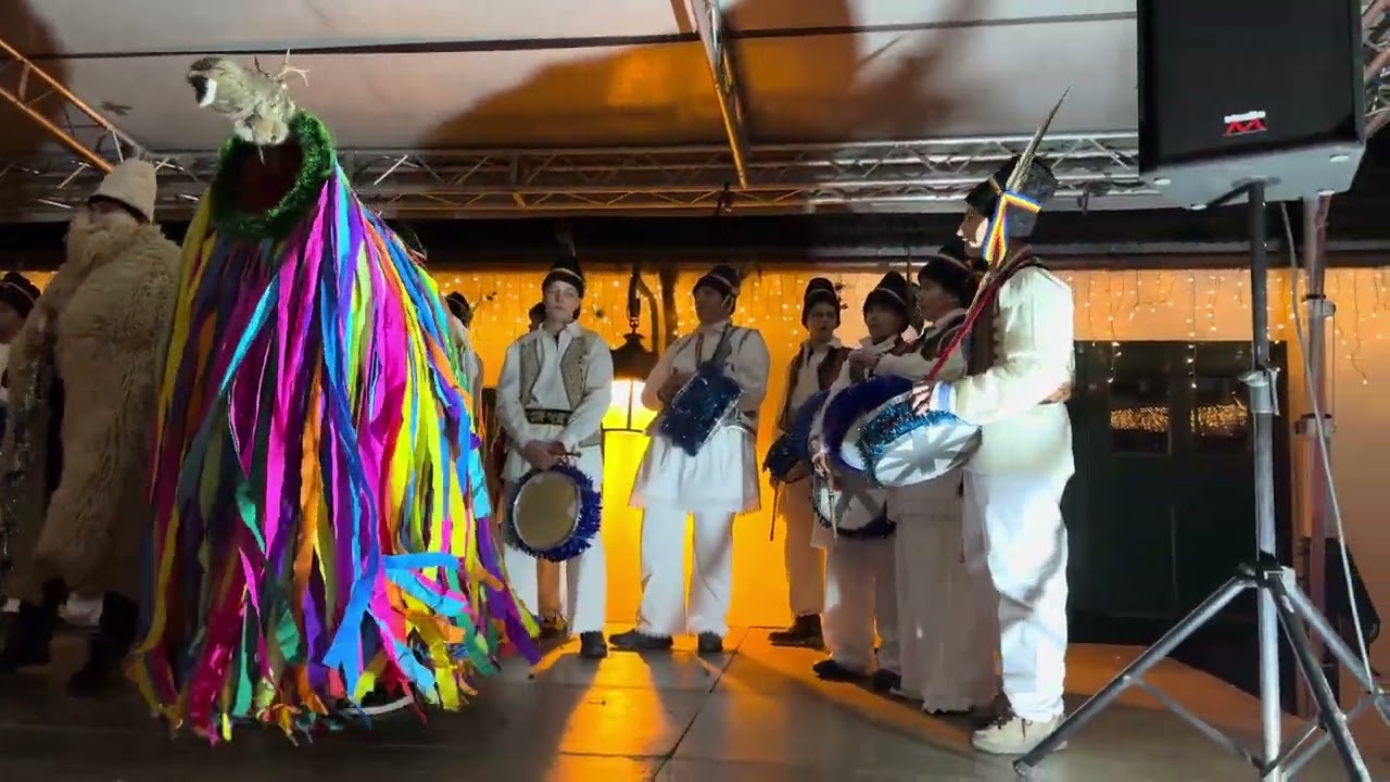 Castelul Regal, dubașii de la Temerești!