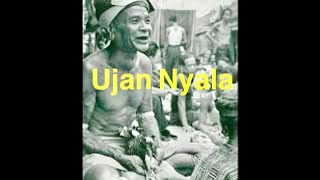 UJAN NYALA