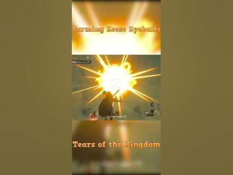 Tears of the Kingdom: Farming Keese Eyeballs 