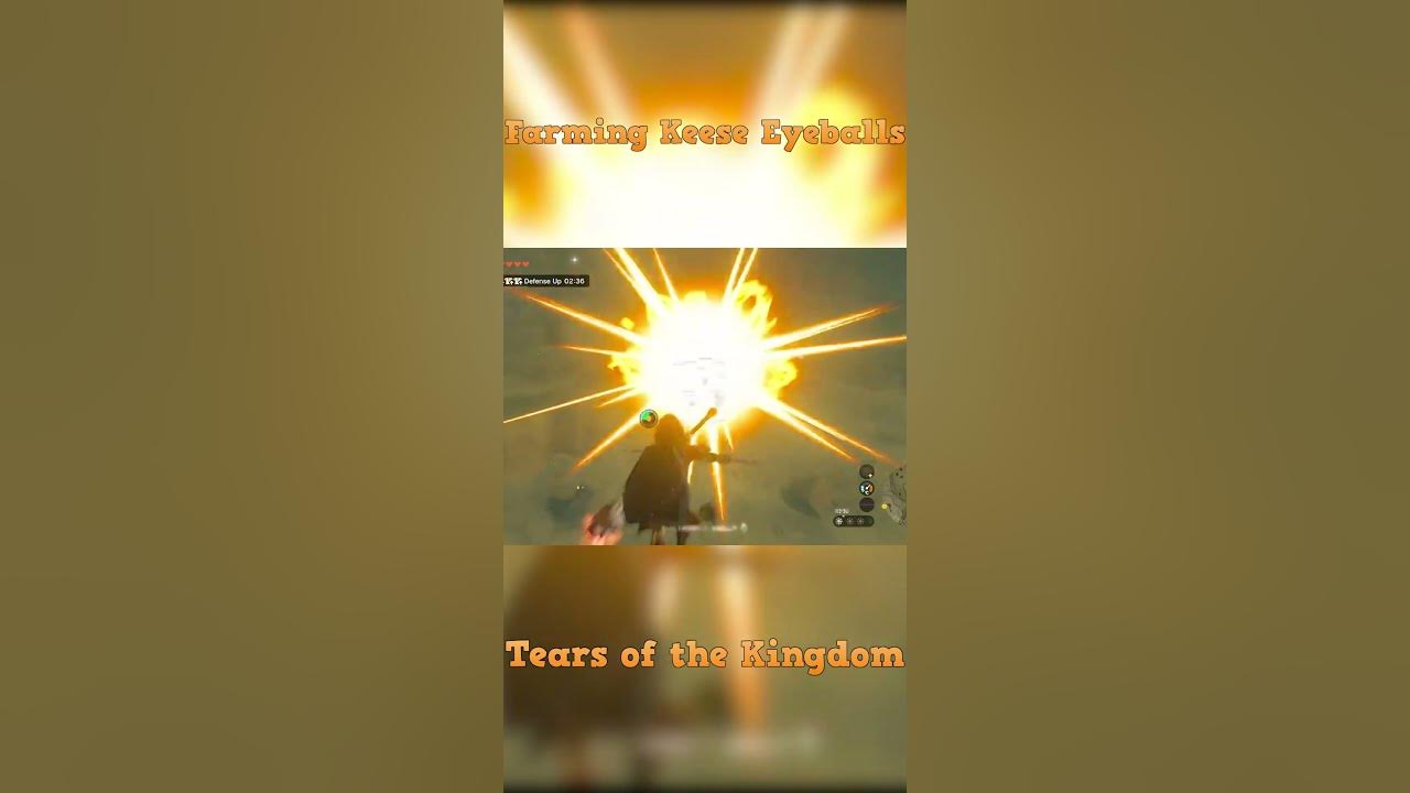 Tears of the Kingdom: Farming Keese Eyeballs