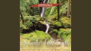 Video thumbnail of "Sounds of the Earth - Deep Into The Earth"