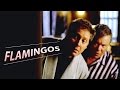 Flamingos | Alan & Denny | Boston Legal