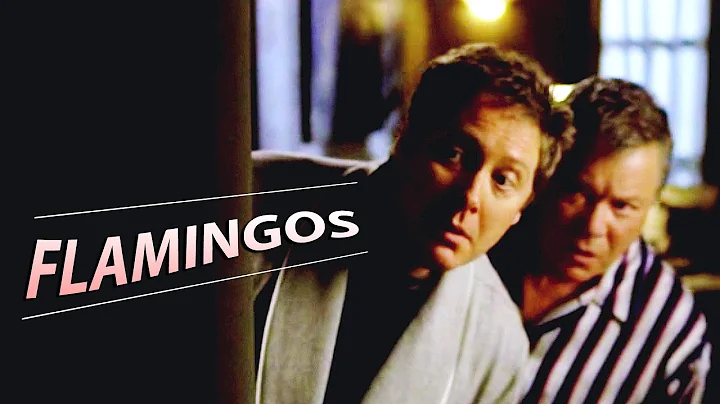 Flamingos | Alan & Denny | Boston Legal