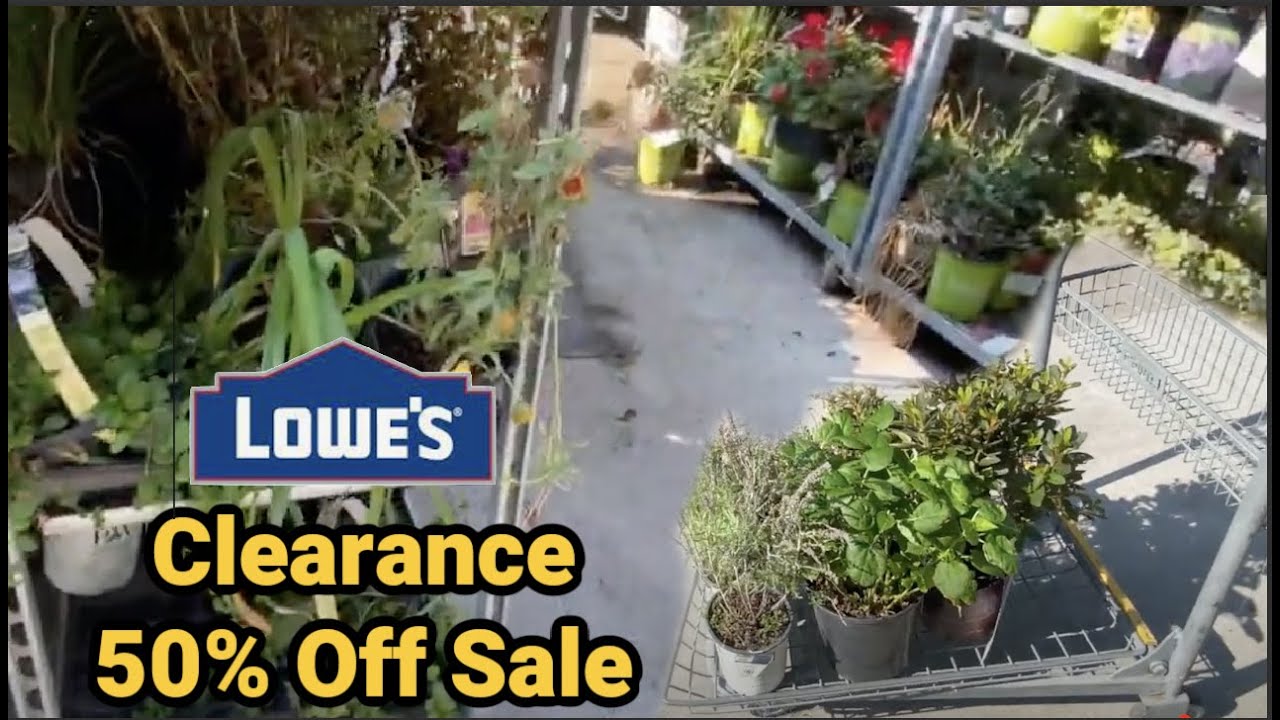 Clearance Plant / Lowes Shopping YouTube