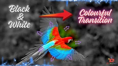 Black and White to Colourful transition video ⚡️ Black & White to Colourful Transition Effect 🔥