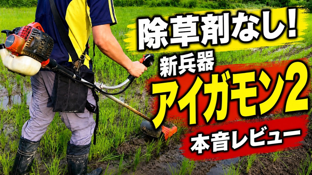 A Savior for Pesticide-Free Rice Fields?! Introducing the Aigamon