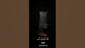 القارئ محمد خليل القارئ