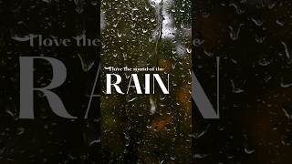 Love the sound of rain as I fall to sleep #shortsfeed #shortsvideo #asmrrain #rainsound #raindrops