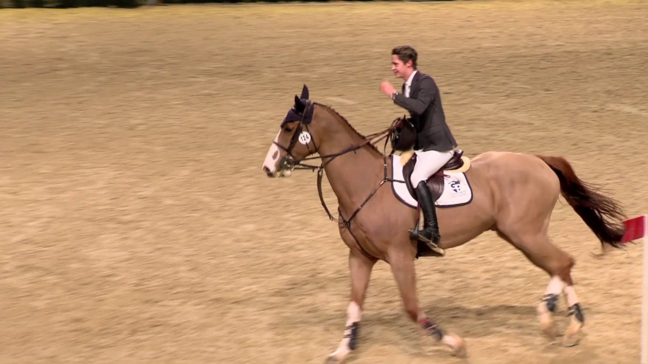 Liverpool International Horse Show 2017 Puissance win