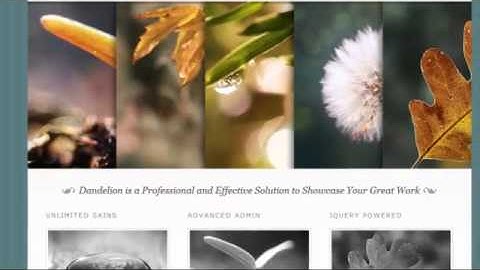 Dandelion - Powerful Elegant WordPress Theme