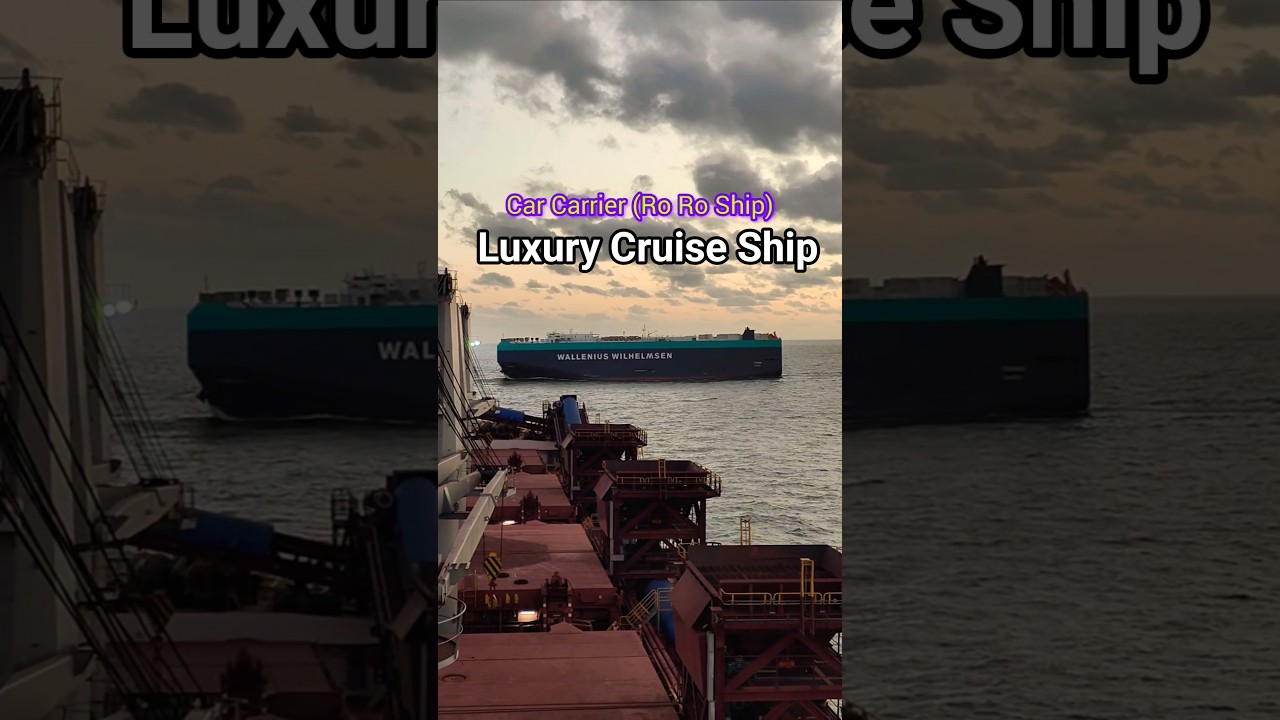 Car Carrier | Cruise Ship