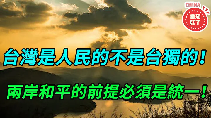 台湾是人民的不是台独的！两岸和平的前提必须是统一！ - 天天要闻