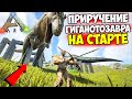 КАК ПРИРУЧИТЬ ГИГАНОТОЗАВРА в ARK!? Лучший ГАЙД для НОВИЧКОВ! Гига на СТАРТЕ ИГРЫ в АРК!