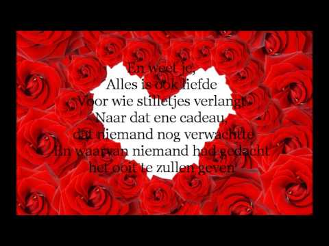 Bløf Alles Is Liefde Lyrics