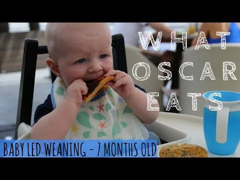 what-my-baby-eats-in-a-day-|-7-months-|-baby-led-weaning