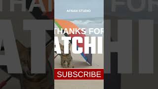 Join Afnan Digital Creator