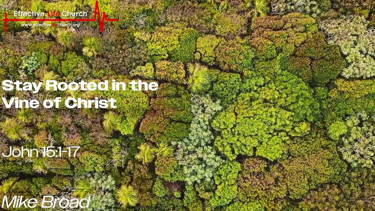 Staying ROOTED in the Vine of Christ | Mike Broad
