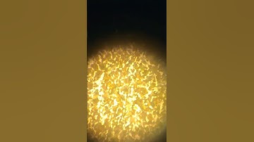 42crmo4#Microstructure#Metallography#Grainstructure#Pearlite#Ferrite