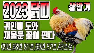 2023년 닭띠운세(계묘년 상반기 닭띠 나이별 신년 운세)귀인이 돕고,재물운은 활짝..