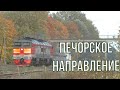 Ливамяэ – Новоизборск. Золотая осень в Печорском районе. Железная дорога и поезда, пейзажи леса