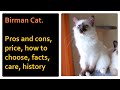 Birman Cat. Pros and Cons, Price, How to choose, Facts, Care, History の動画、YouTube動画。