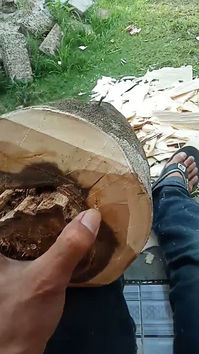 Emas hitam yang terbalut kayu. #blackgold#agarwood#gaharu#emashitam#fyp