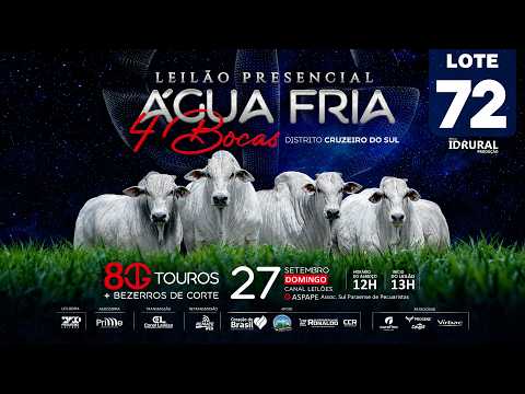 LOTE 72   JCGG 29863