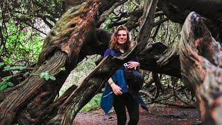 MIDSUMMER NIGHT IN A MYSTICAL ANCIENT YEW FOREST | Kingley Vale