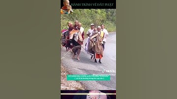 sư thầy Thích Minh Tuệ, thich minh tue  #lêkhảgiáp #thichminhtue #phật #thinhhanh #thayminhtue #thái