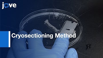 Cryosectioning Method: Microdissection Of Murine Colonic Mucosa l Protocol Preview
