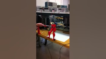 Bipedal Robot Large Step