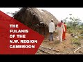 The Fulani's of the N.W.Region, Southern Cameroon | Documentary