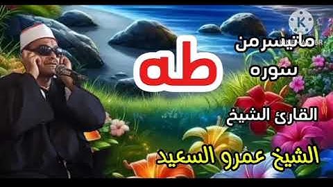 الشيخ عمرو السعيد ماتيسرمن سوره طه