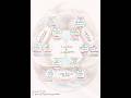 Codon Ring of Destiny