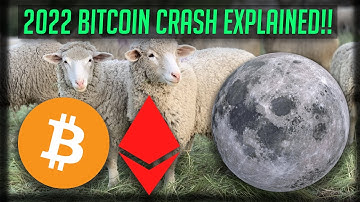 2022 Bitcoin Crash Explanation (Beginner Friendly Breakdown)