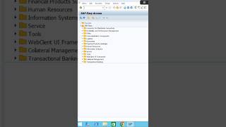 Product Bin-to-Bin Movement using RFUI in SAP EWM | RF Internal Stock Transfer