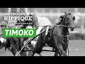 Lhistoire de timoko  le plus riche trotteur franais  poque hippique  pmu