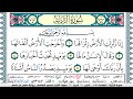 سورة الزلزلة مكتوبة    منصور السالمي    قران كريم