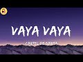 Cartel De Santa-Vaya Vaya (Letra/Lyrics)