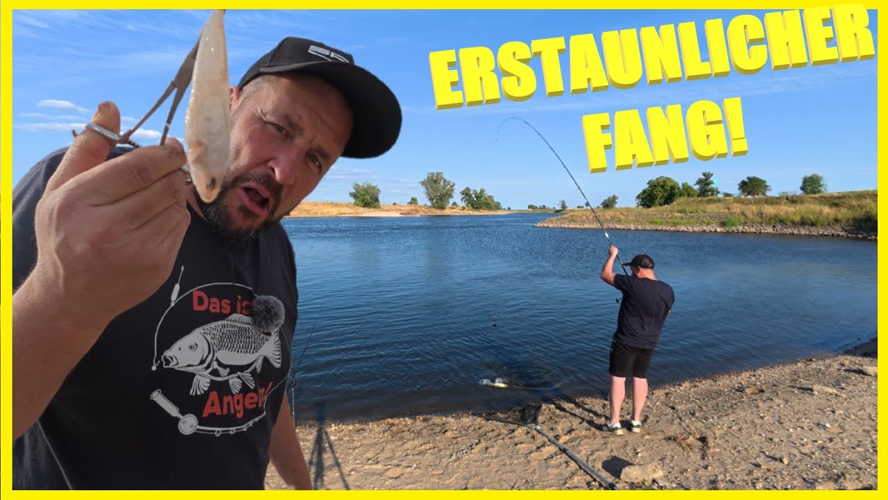Angeln mit Köderfisch & Wurm so fange ich verschiedene Fische am Fluss Elbe