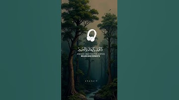 والخيل والبِغال والحمير لتركبوها #خالد_الجليل #قران_كريم #تلاوة_خاشعة #صوت_جميل #quran_kareem #quran