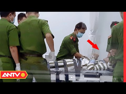 Video: Quyên góp thực phẩm cho phép nhân viên nơi trú ẩn tập trung vào nhu cầu tình cảm của chó