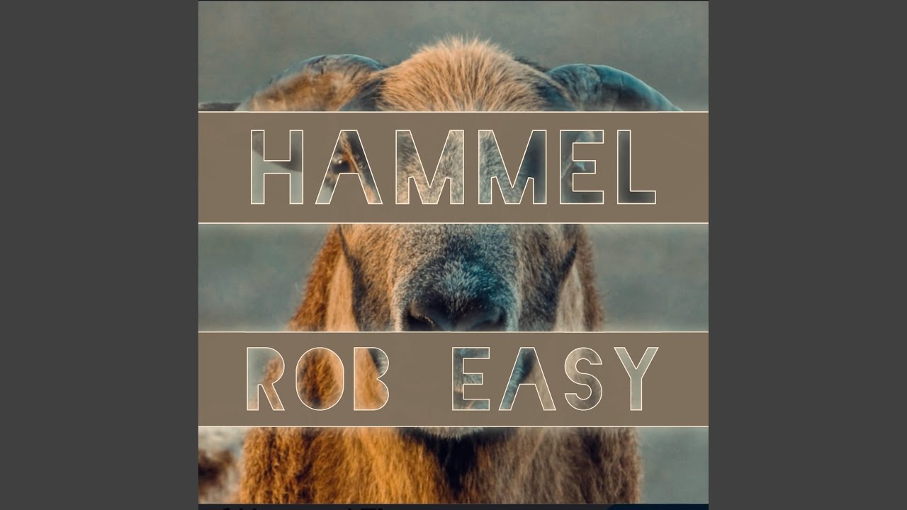 Mira Hammel en YouTube Mira Hammel en YouTube