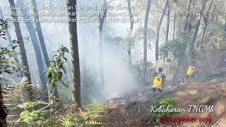 Pemadaman Kebakaran Hutan Menggunakan Jet Shooter