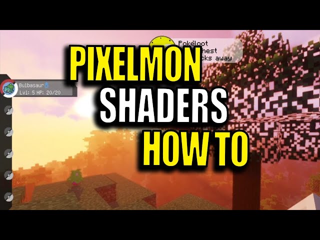 I made a Pixelmon 1.9.5 modpack and added shaders to enhance my experience.  However, it caused visual bugs (see first screenshot). Removing the shaders  helped a bit, but some issues persist (second