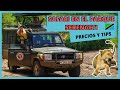 Safari en el Serengeti Tanzania 🦁 Temporadas, Precios y más tips útiles | Documental HD