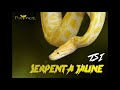 Serpent a jaune  tsi audio